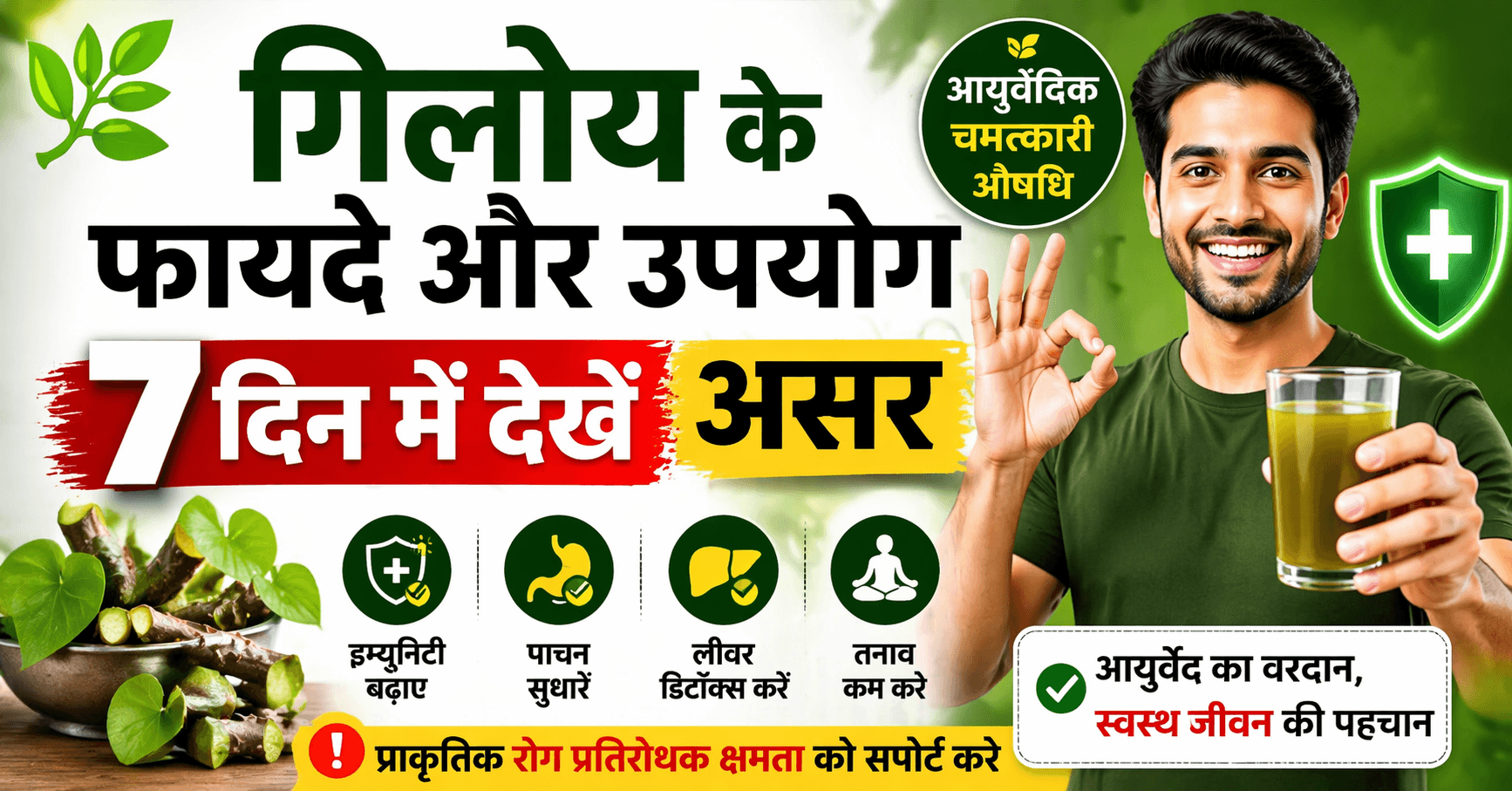 गिलोय के फायदे और उपयोग 7 दिन में असर, giloy benefits in hindi, immunity booster ayurvedic giloy juice benefits, digestion liver detox stress relief