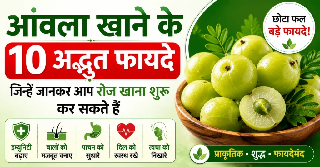 आंवला खाने के 10 अद्भुत फायदे दर्शाती इम्युनिटी, बालों, पाचन और त्वचा स्वास्थ्य से जुड़ी आयुर्वेदिक हेल्थ इमेज