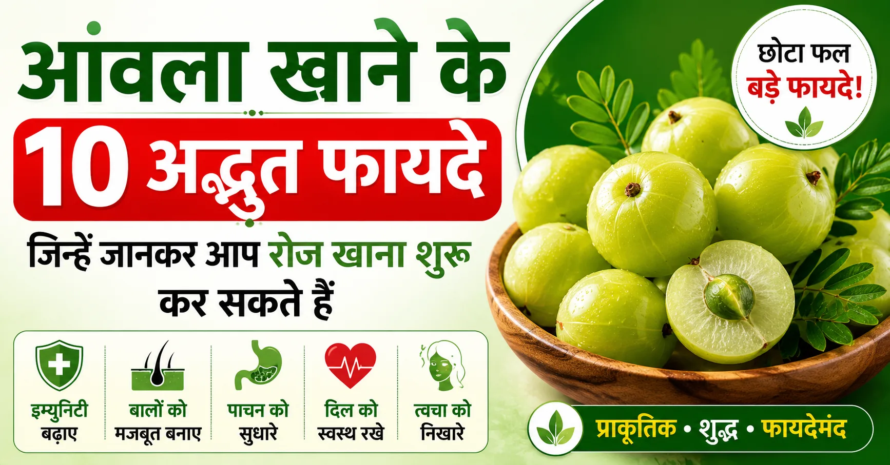 आंवला खाने के 10 अद्भुत फायदे दर्शाती इम्युनिटी, बालों, पाचन और त्वचा स्वास्थ्य से जुड़ी आयुर्वेदिक हेल्थ इमेज