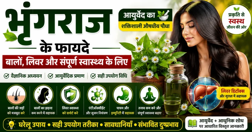 भृंगराज के फायदे, भृंगराज के लाभ, Bhringraj Benefits, बालों के लिए भृंगराज, लिवर के लिए भृंगराज, भृंगराज तेल, Eclipta alba, आयुर्वेदिक औषधीय पौधा, भृंगराज के उपयोग और संभावित स्वास्थ्य लाभ