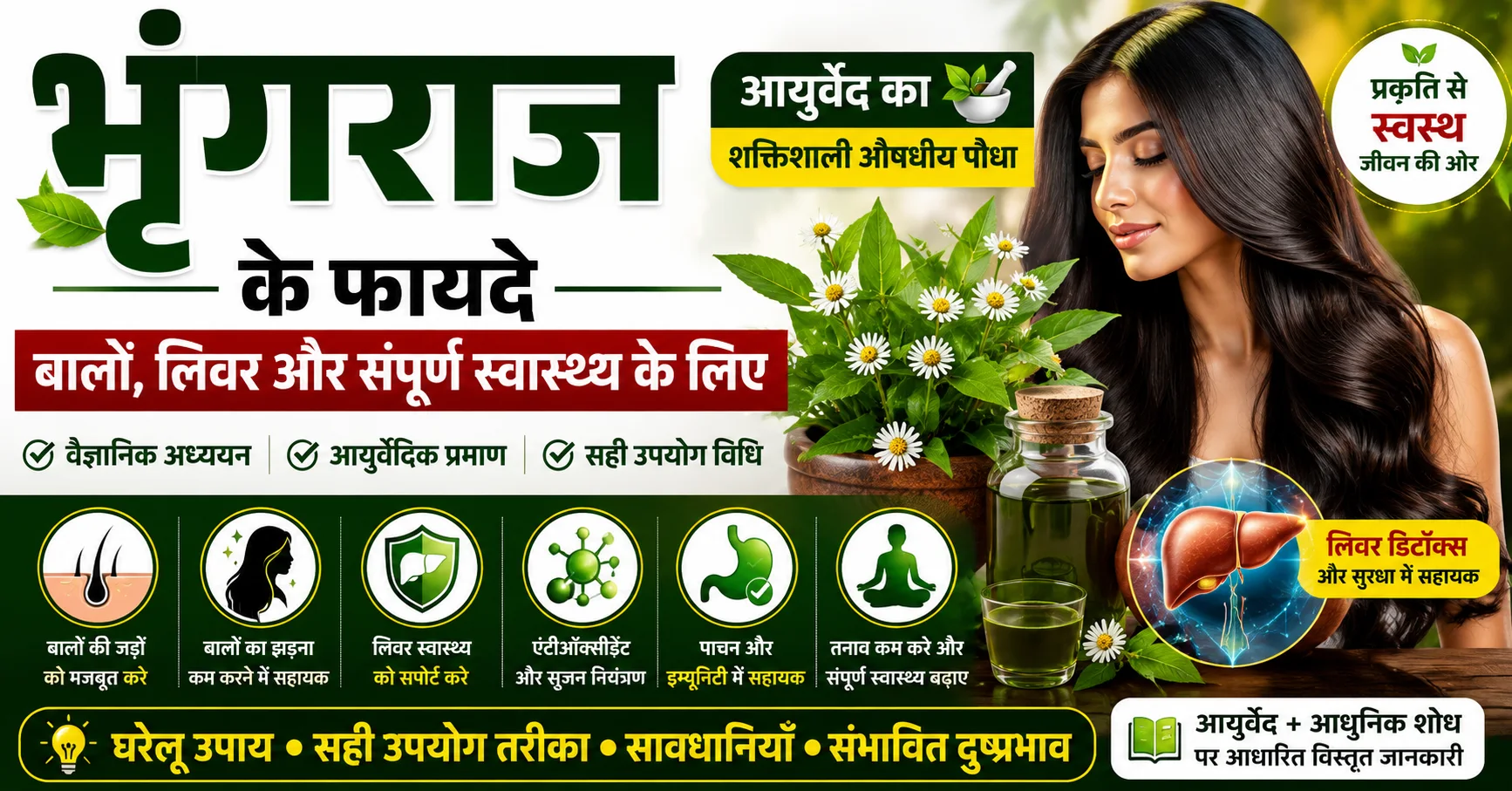भृंगराज के फायदे, भृंगराज के लाभ, Bhringraj Benefits, बालों के लिए भृंगराज, लिवर के लिए भृंगराज, भृंगराज तेल, Eclipta alba, आयुर्वेदिक औषधीय पौधा, भृंगराज के उपयोग और संभावित स्वास्थ्य लाभ