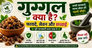 गुग्गुल क्या है thumbnail जिसमें गुग्गुल के फायदे, सेवन का तरीका, मिथक बनाम तथ्य और सुरक्षित उपयोग की जानकारी दिखाई गई है