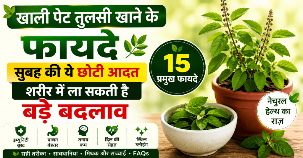खाली पेट तुलसी खाने के फायदे, सुबह तुलसी की पत्तियां खाने से इम्यूनिटी, पाचन और मानसिक ताजगी को सपोर्ट