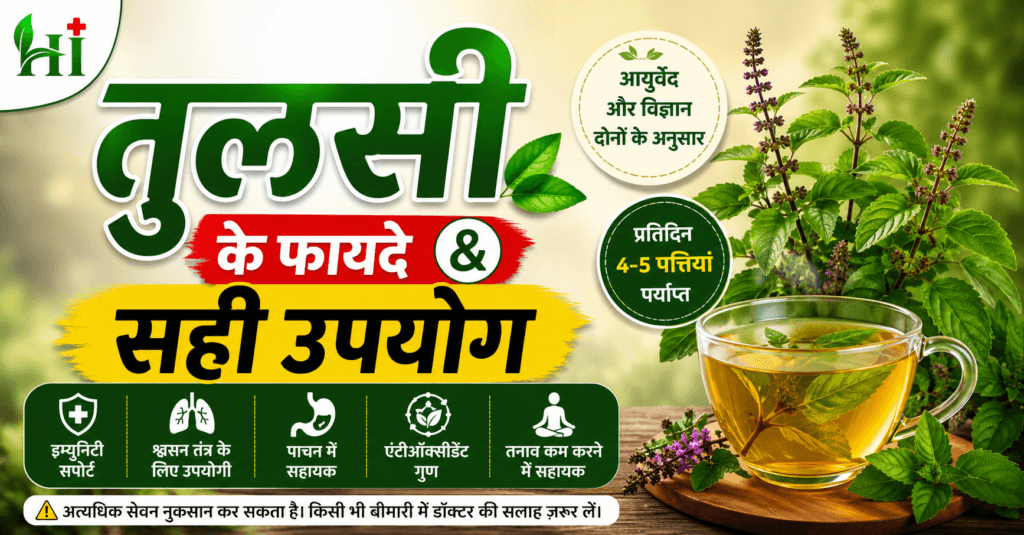 तुलसी के फायदे और उपयोग से जुड़ी आयुर्वेदिक जानकारी, Tulsi benefits in Hindi, तुलसी चाय और इम्यूनिटी सपोर्ट