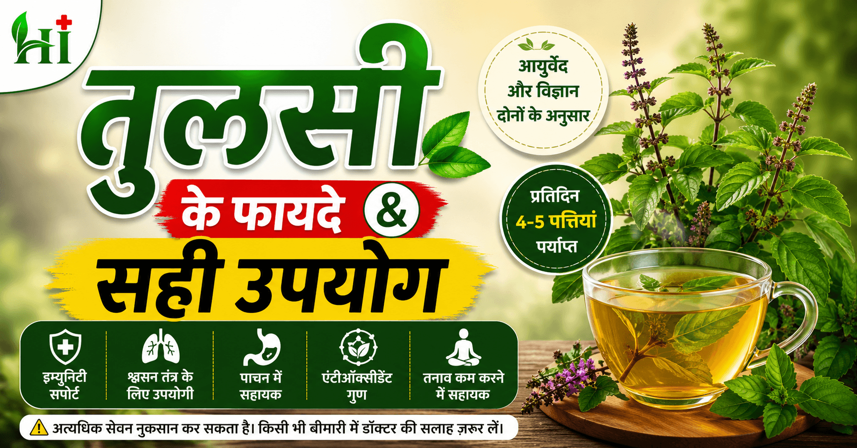 तुलसी के फायदे और उपयोग से जुड़ी आयुर्वेदिक जानकारी, Tulsi benefits in Hindi, तुलसी चाय और इम्यूनिटी सपोर्ट