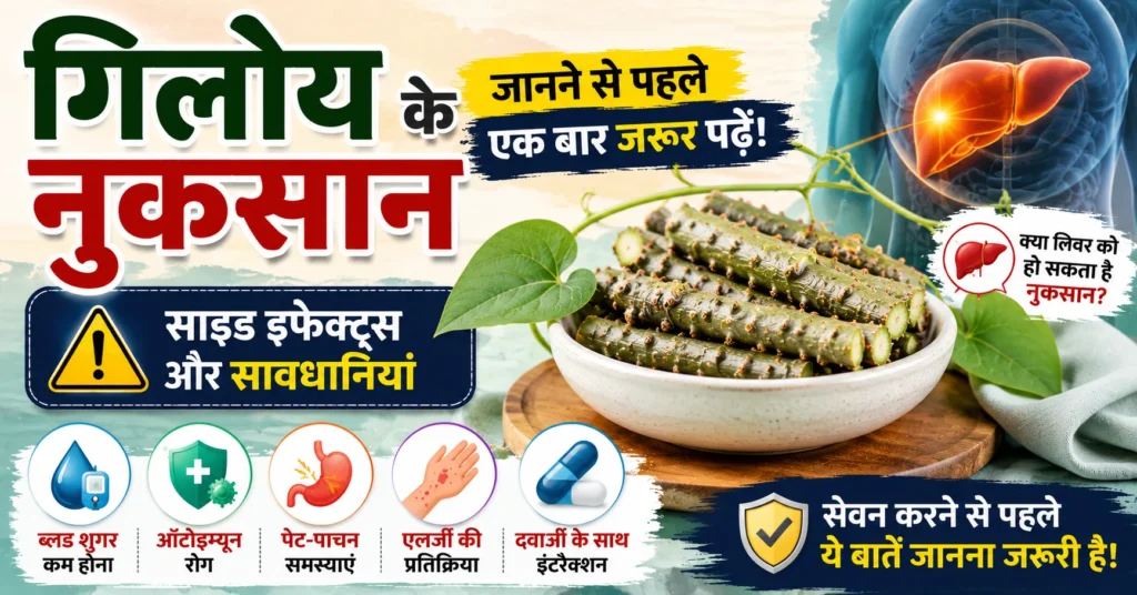 गिलोय के नुकसान, साइड इफेक्ट्स, लिवर जोखिम, डायबिटीज और ऑटोइम्यून रोगियों के लिए सावधानियों को दर्शाती इन्फोग्राफिक