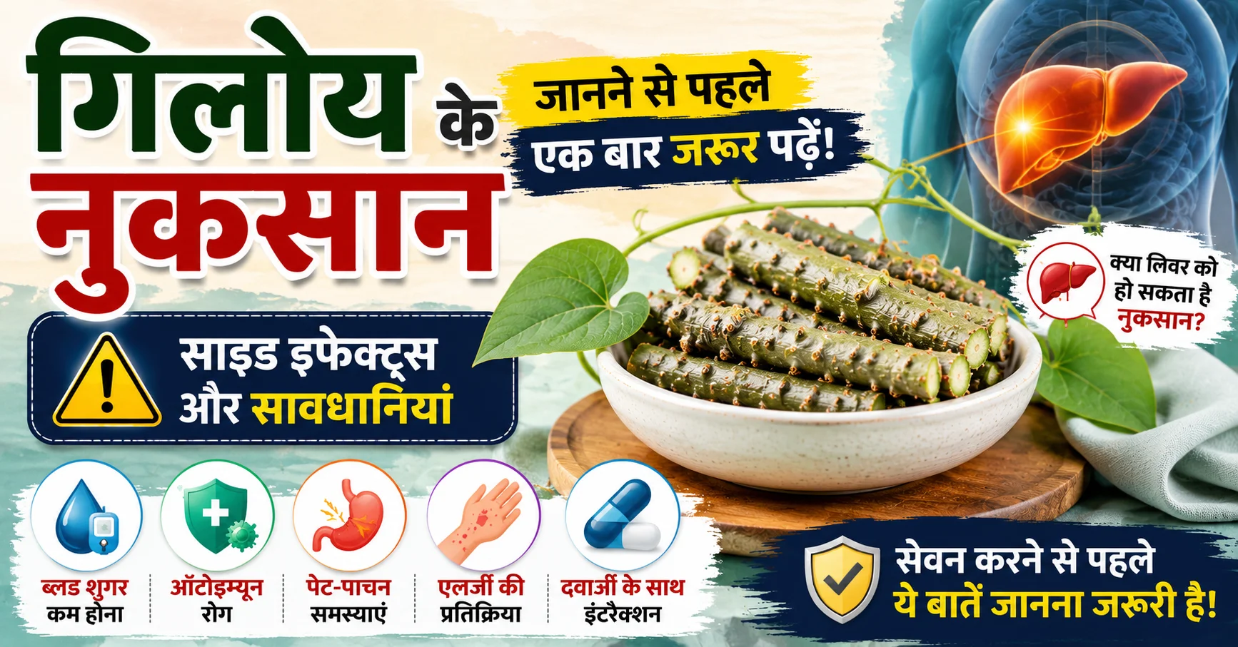 गिलोय के नुकसान, साइड इफेक्ट्स, लिवर जोखिम, डायबिटीज और ऑटोइम्यून रोगियों के लिए सावधानियों को दर्शाती इन्फोग्राफिक
