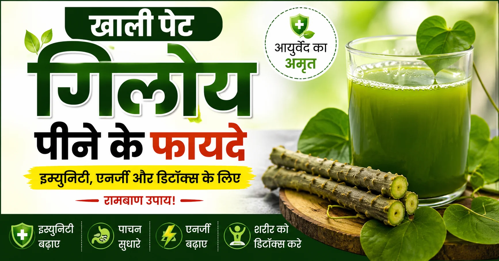 खाली पेट गिलोय पीने के फायदे, गिलोय जूस, इम्युनिटी बढ़ाने वाली आयुर्वेदिक औषधि